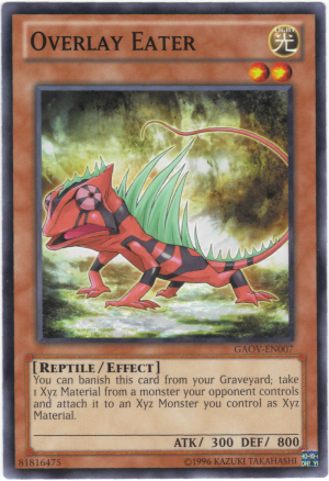 Camaleonte Rivestito