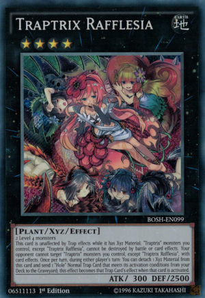 Trappolatrice Rafflesia