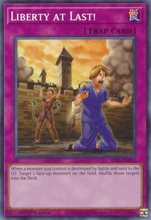 Libertà Finalmente!